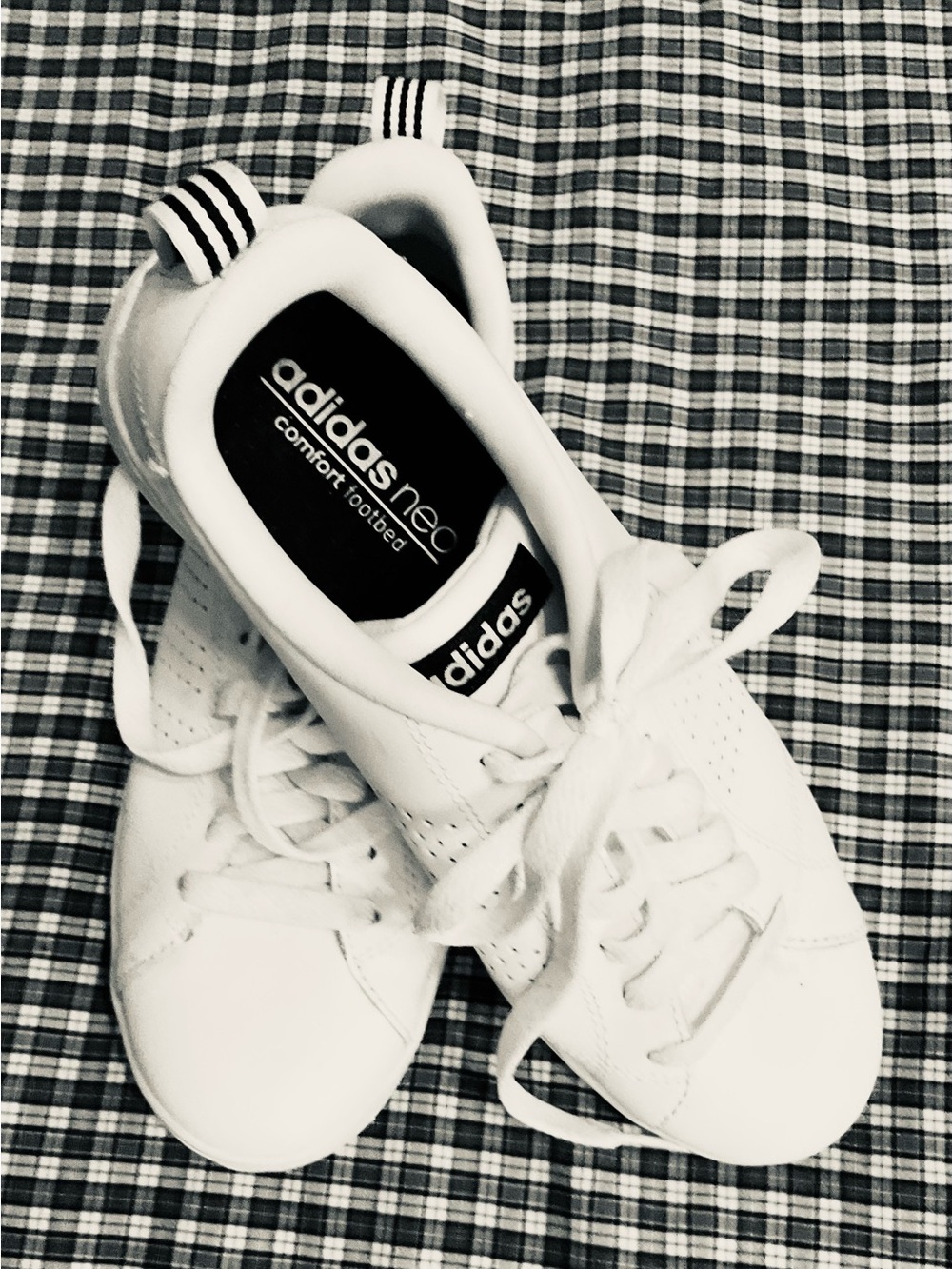 adidas neo White Low-Top Leather Sneaker